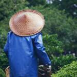 Garden Hats for Ladies: The Perfect Blend of Style and Sun Protection