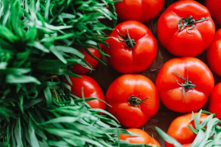 How to Grow Tomatoes Indoors Year-Round